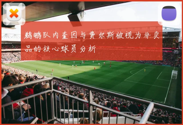 鹈鹕队内奎因与费尔斯被视为非卖品的核心球员分析