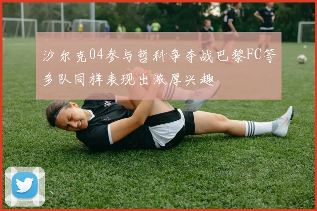 沙尔克04参与哲科争夺战巴黎FC等多队同样表现出浓厚兴趣