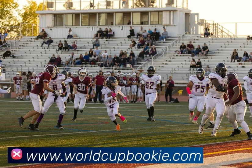 世界杯在线购彩品牌故事